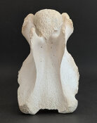 Giraffenhalswirbel Nr. 5036