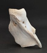 Giraffenhalswirbel Nr. 5037