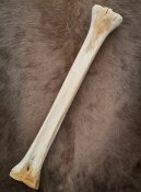 giraffe bone no. 5002 length 66 cm, weigth 2,3 kg