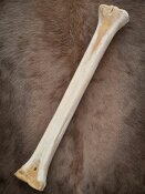 giraffe bone no. 5007 length 73 cm, weigth 2,8 kg