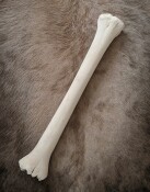 giraffe bone no. 5009 length 71 cm, weigth 3 kg
