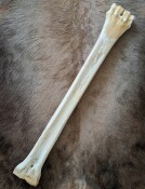 giraffe bone no. 5013 length 73 cm, weigth 3,1 kg