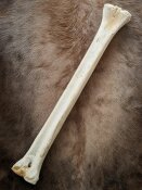 giraffe bone no. 5014 length 68 cm, weigth 2,5 kg