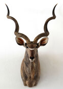 Kudu  Nr. 93 Recordbulle lt. Rowland Ward