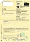 Affenschädel XXL vom Pavian - Länge 23,5 cm Nr. 2181