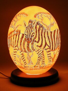 Straußeneilampe Zebra Nr. 851 -- Rückseite Sterne