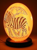 Straußeneilampe Zebra Nr. 851 -- Rückseite Sterne