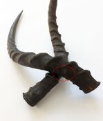 Impalahörner Nr. 237 B-Ware