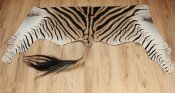 Zebrafell Backskin aus Südafrika Nr. 2237