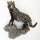Civet Zibetkatze