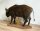 Buschschwein Vollmontage