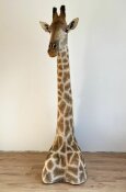 Giraffenhaupt  Nr. 21