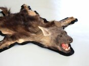 Hyänenvorleger, Brown Hyaena Rugmount aus...