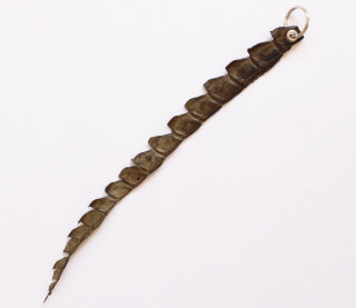 7. Länge 30 cm, Breite 2 cm, Dunkelgrün (sold out)
